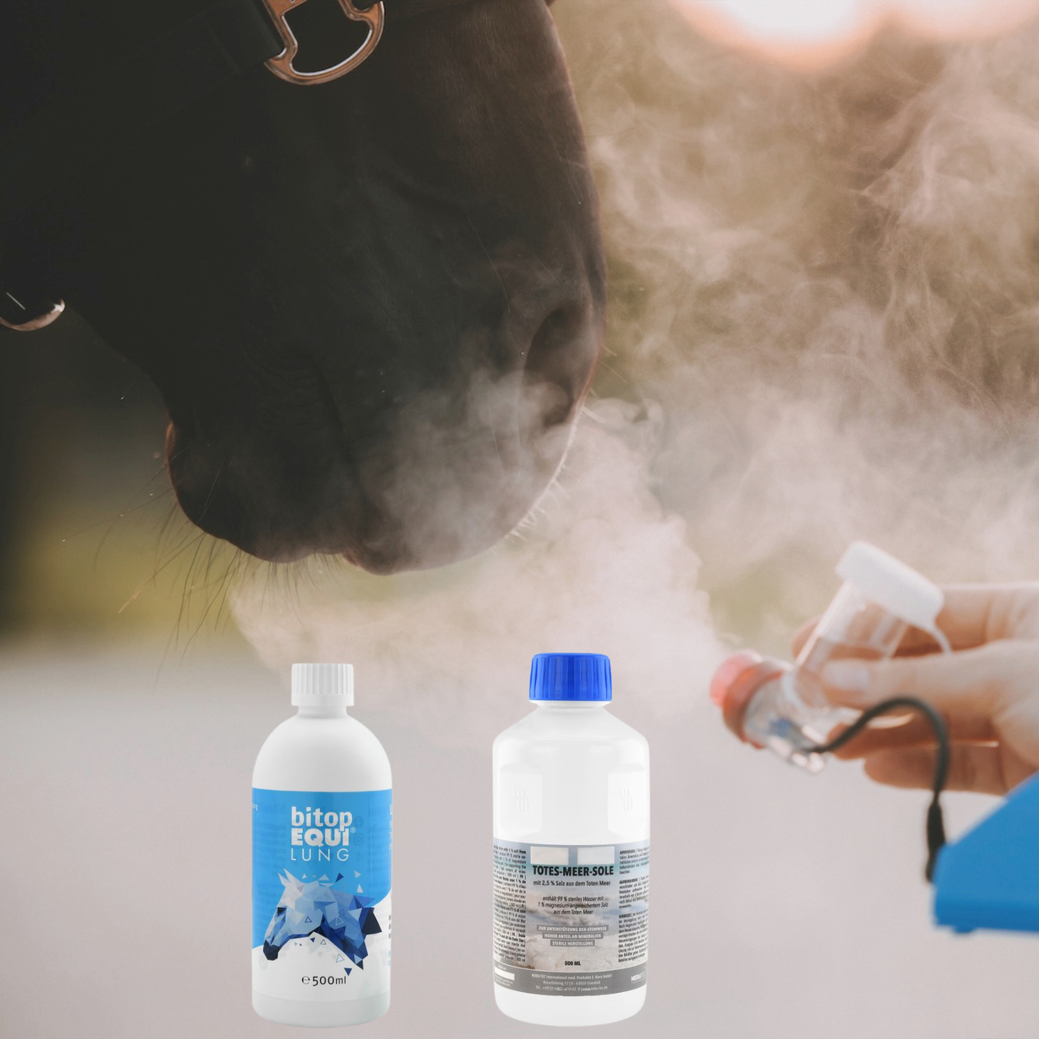 Inhalationslösungen für Pferde – SaHoMa® II | imFUTTERSACK