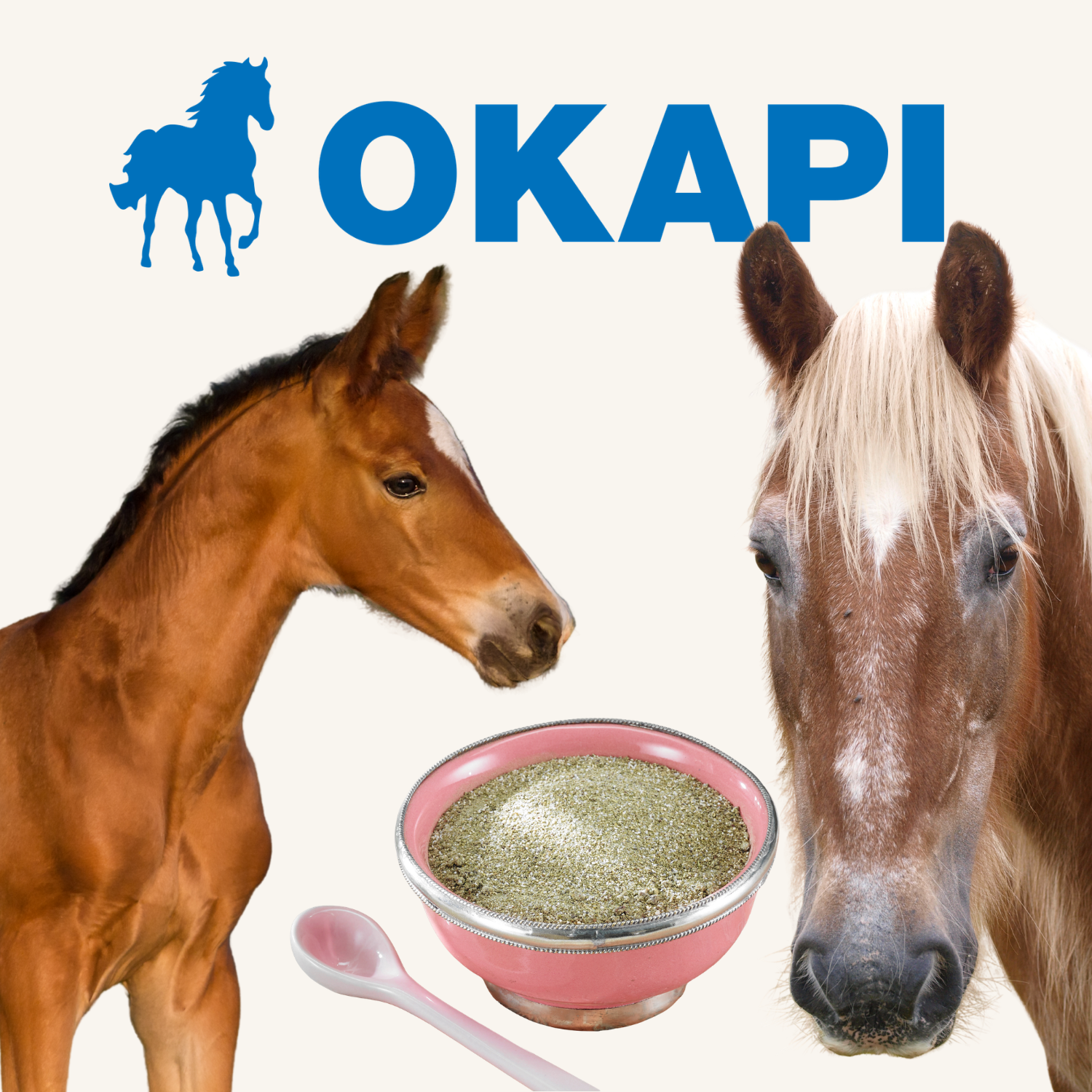 OKAPI Support – gezielte Unterstützung für dein Pferd | imFUTTERSACK