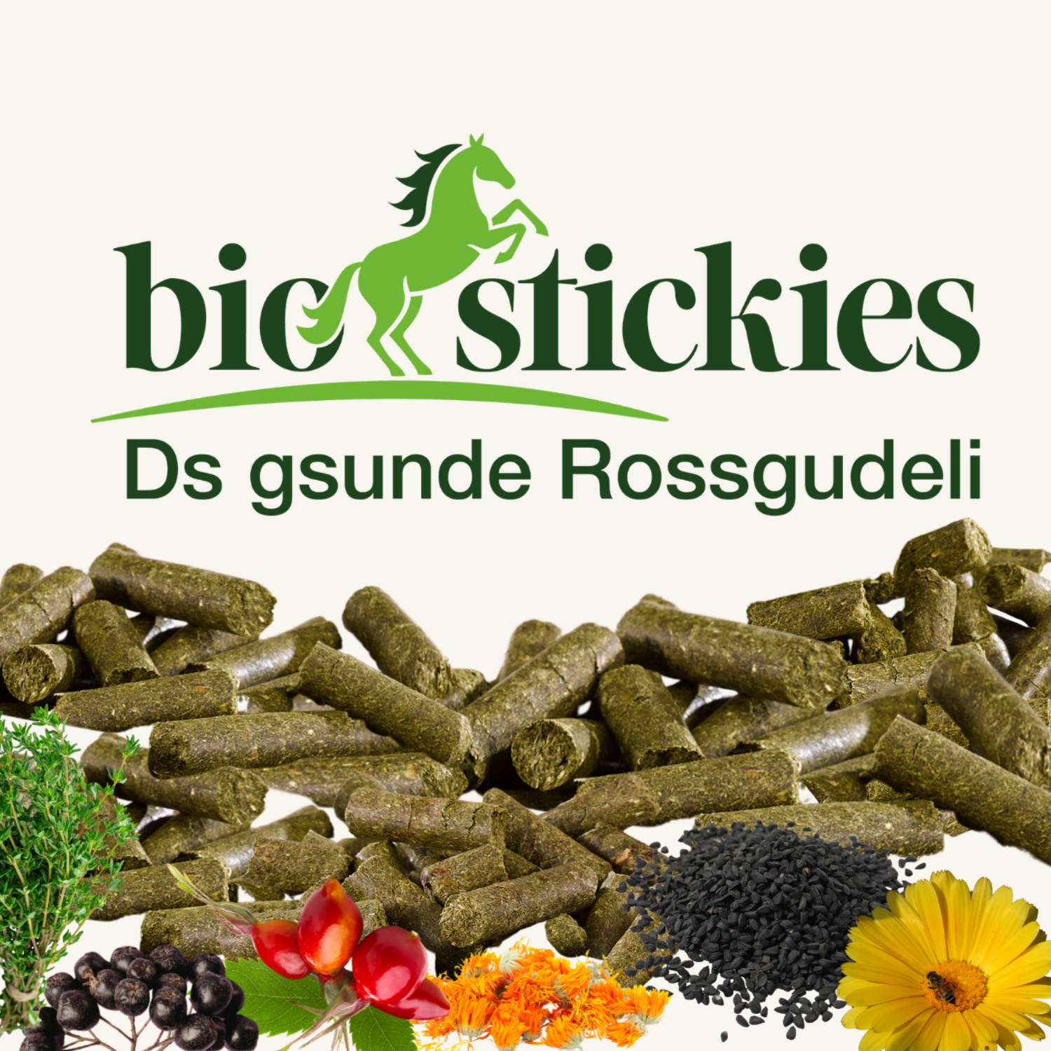 biostickies – natürliche Clickerlis für Pferde | imFUTTERSACK