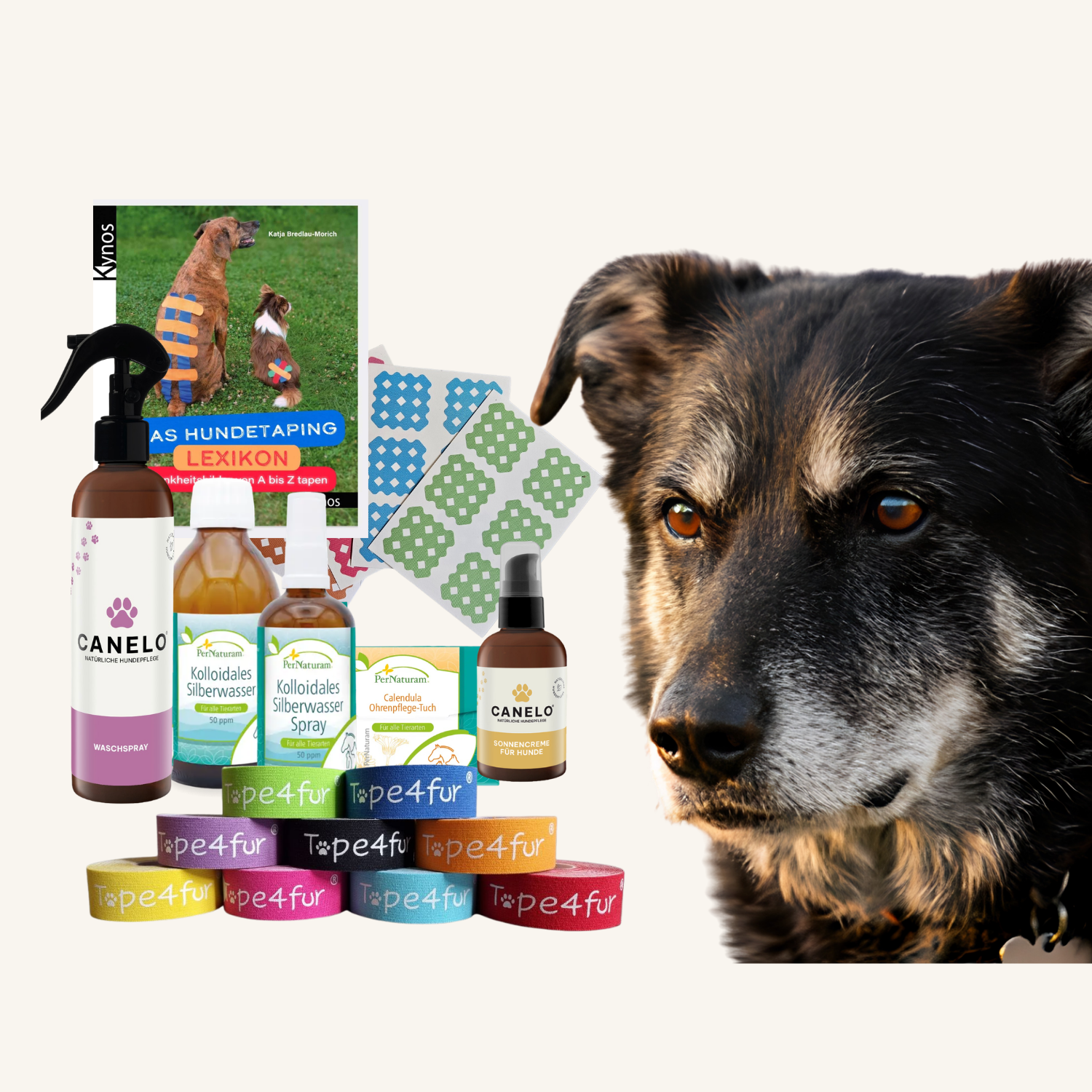 Hochwertige Pflegeprodukte von CANELO, Hilfsmittel zur Therapie von Zwaller Dogspa & Tape4Fur sowie Zeckendreher – ab Schweizer Lager. Jetzt entdecken.