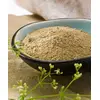 OKAPI ColoProtect forte–Verdauung 850g | imFUTTERSACK UNTERSTÜTZT DAS NATÜRLICHE DARMMILIEU