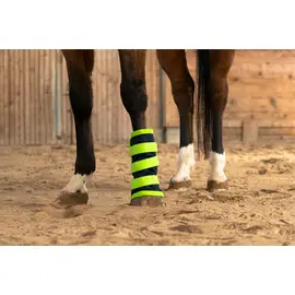 EQUISPA ZWALLER 1-Tasche Beinelement