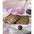 OKAPI Blaubeer Kekse–getreidefreie 400g | imFUTTERSACK