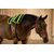 EQUISPA Zwaller All-in-One Taschenelement 4​