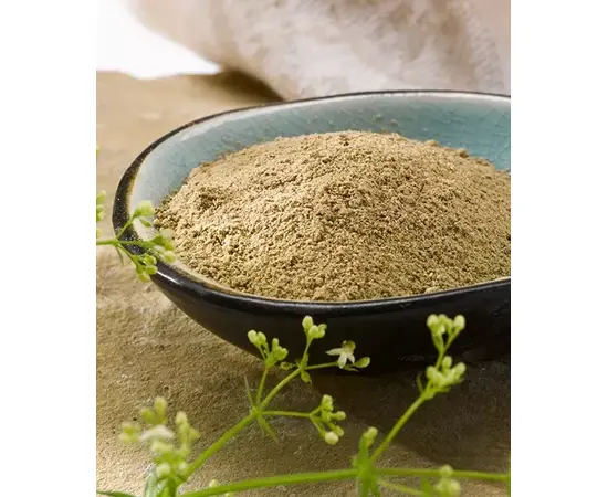 OKAPI ColoProtect forte–Verdauung 850g | imFUTTERSACK UNTERSTÜTZT DAS NATÜRLICHE DARMMILIEU