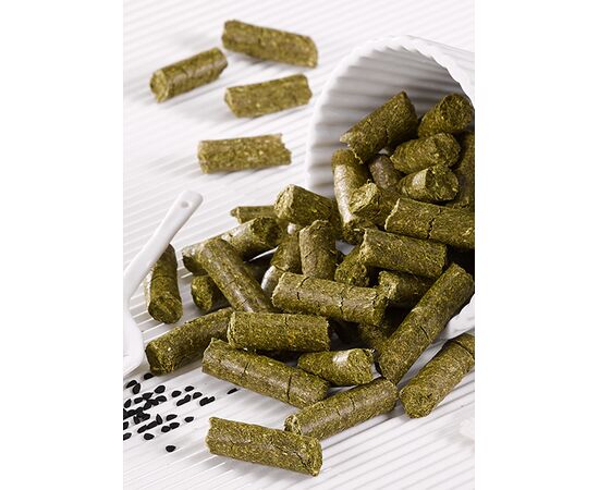 biostickies Schwarzkümmel 3kg – Bio-Pferdeleckerli | imFUTTERSACK