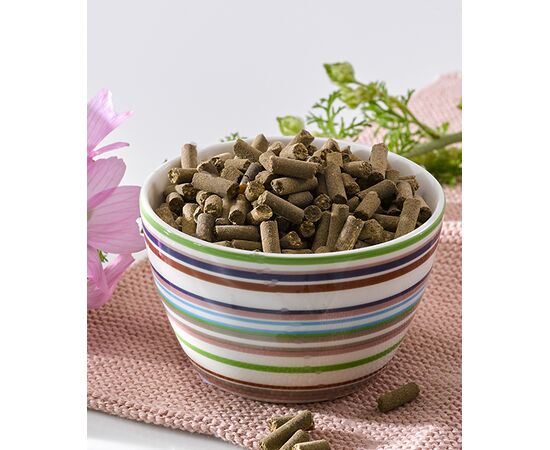 OKAPI Mineralpellets – Mineralfutter-Pellets mit ausgewählten Vitaminen für Pferde 3kg | Ab Lager Schweiz – imFUTTERSACK.ch