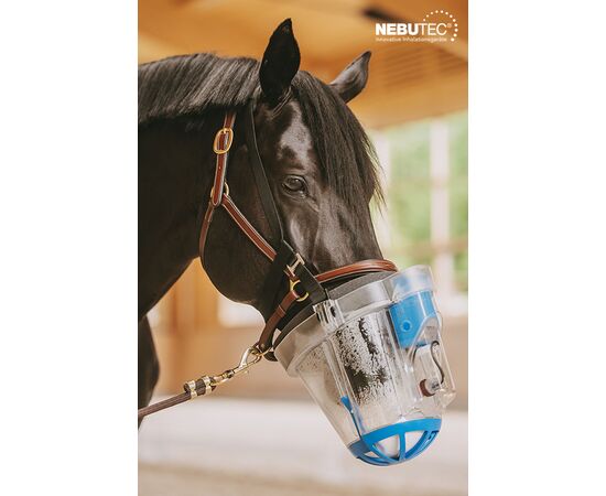 Pferd mit SoHoMaSaHoMa®-II Inhalationsset für Pferde von Nebu-Tec | imFUTTERSACK