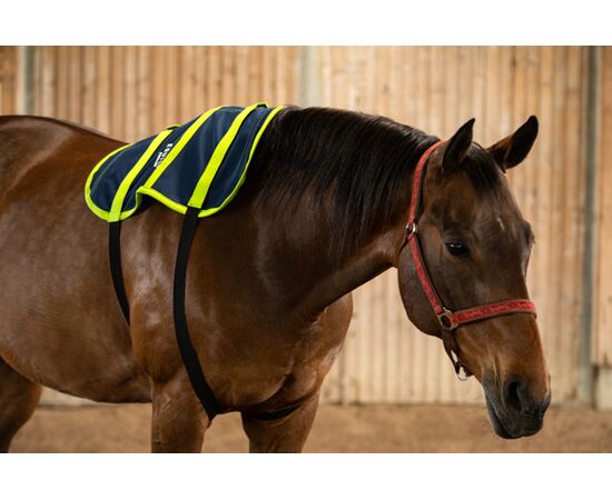 EQUISPA Zwaller All-in-One Taschenelement 4​