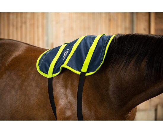 EQUISPA Zwaller All-in-One Taschenelement 4​
Widderist
