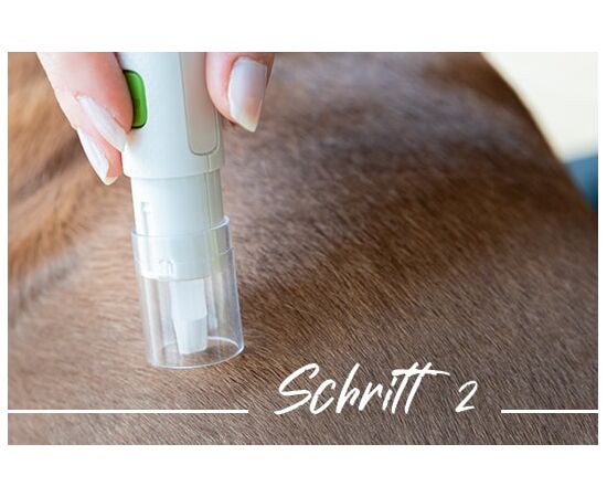 Zeckendreher für Tiere – Zecken sicher entfernen Schritt2 | imFUTTERSACK