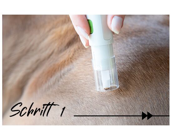 Zeckendreher für Tiere – Zecken sicher entfernen Schritt 1 | imFUTTERSACK