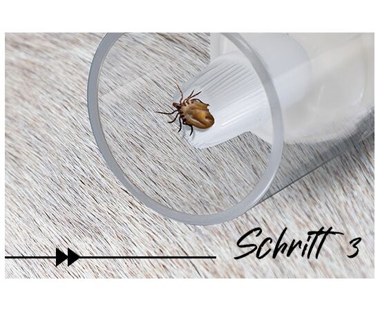 Zeckendreher für Tiere – Zecken sicher entfernen Schritt3 | imFUTTERSACK