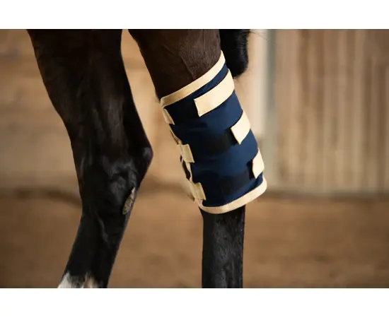 EQUISPA ZWALLER 2-Taschen Beinelement gross für Pferde oben