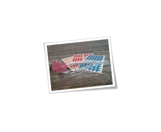 Präzisionspinzette für das hygienische Aufkleben von Gittertapes bei Tieren – ergonomisch & griffsicher. Bei imFUTTERSACK in der Schweiz bestellen.