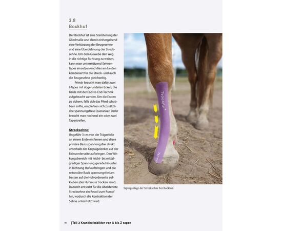 Das Pferdetaping Lexikon – Fachbuch Tape| imFUTTERSACK