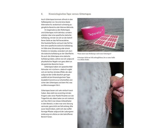 Das Pferdetaping Lexikon – Fachbuch Gitterpflaster| imFUTTERSACK