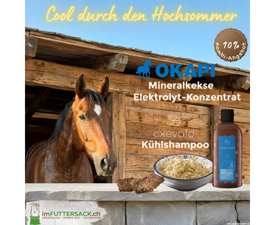 mit OKAPI und CXEVALO cool durch den Hochsommer